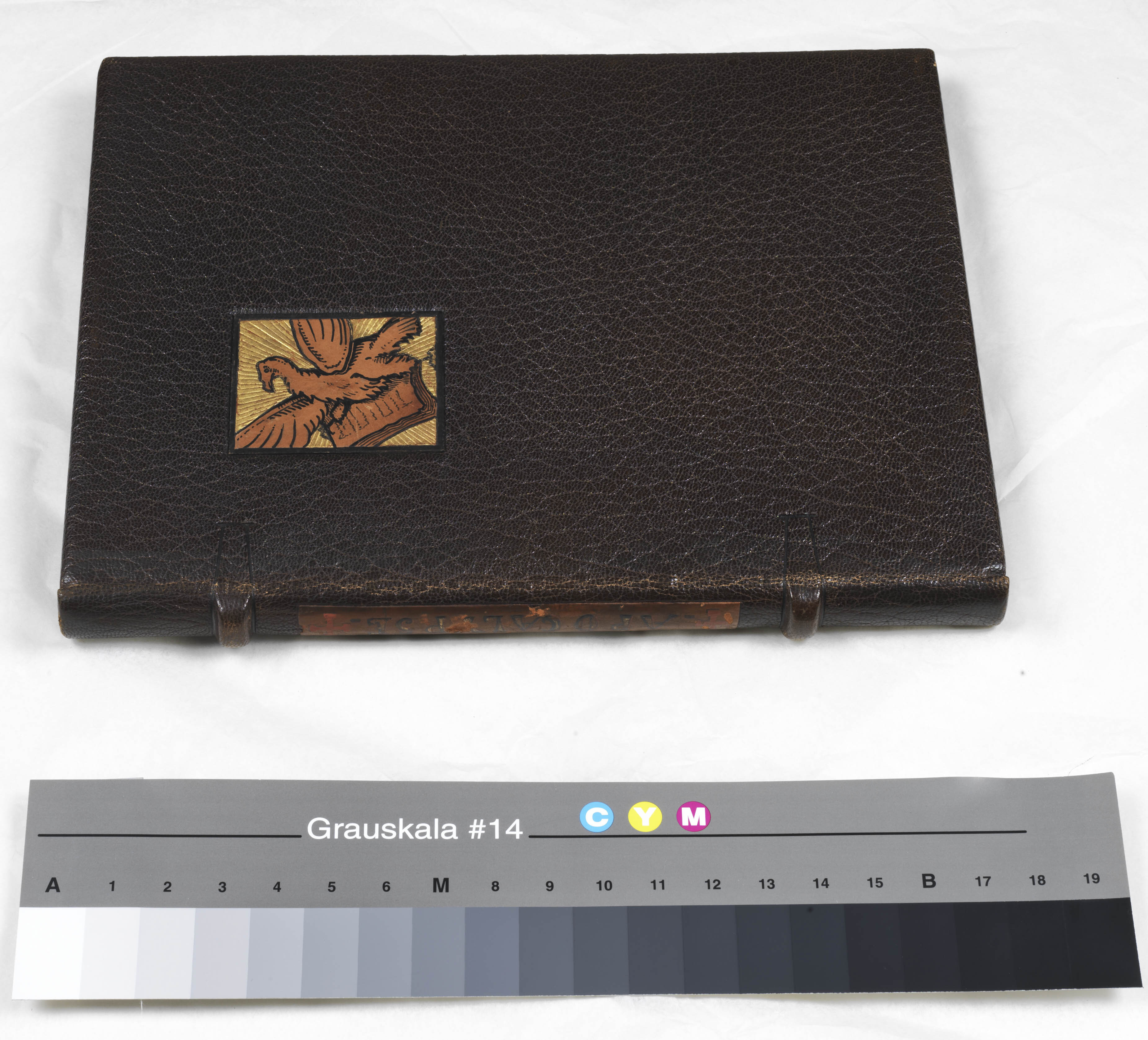 Apocalypse selon Saint-Jean