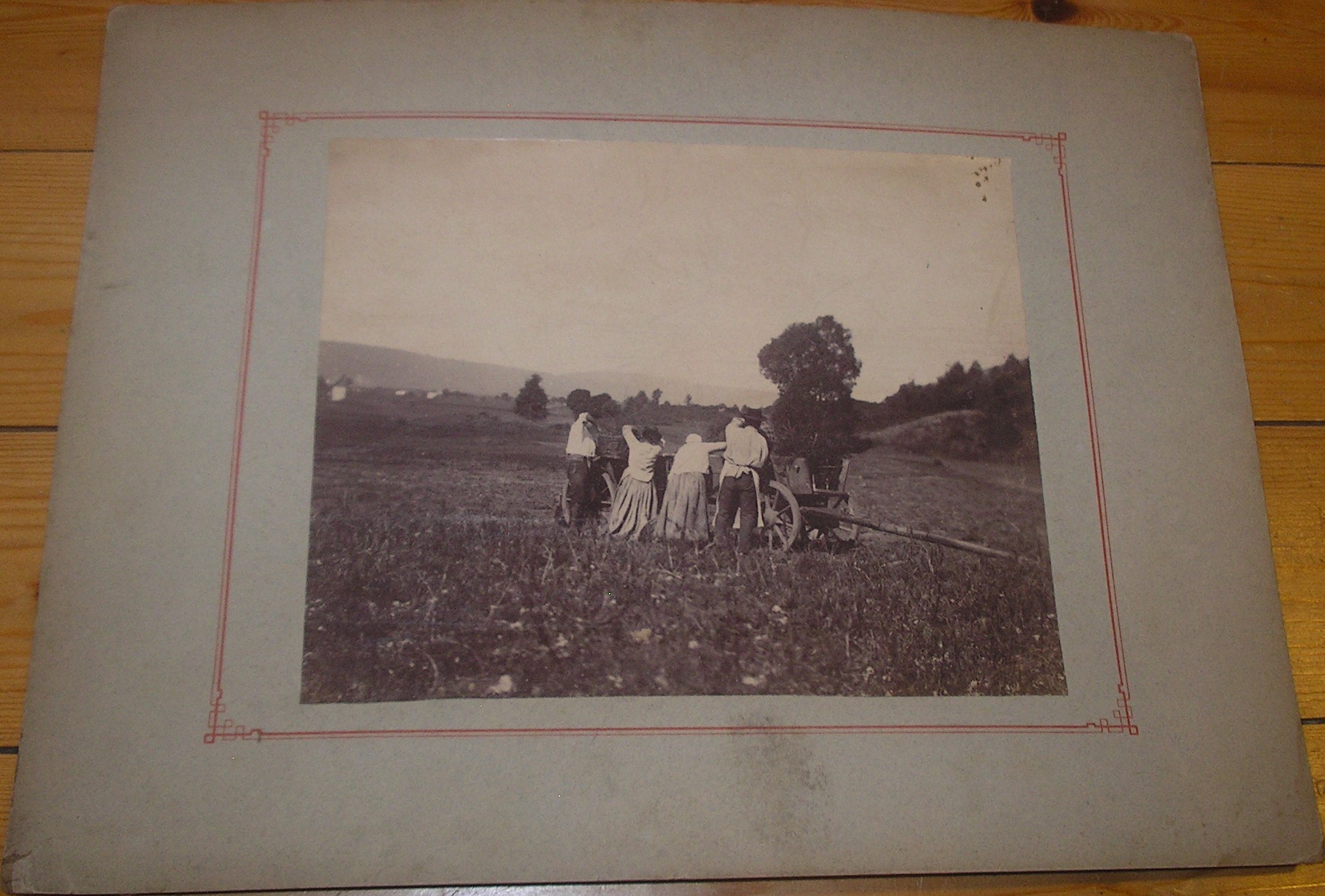 Scène de cueillette paysanne