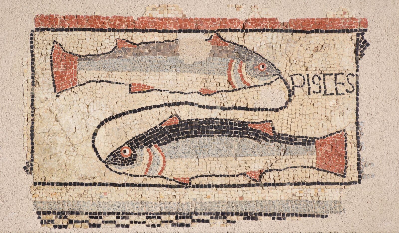 Les Poissons