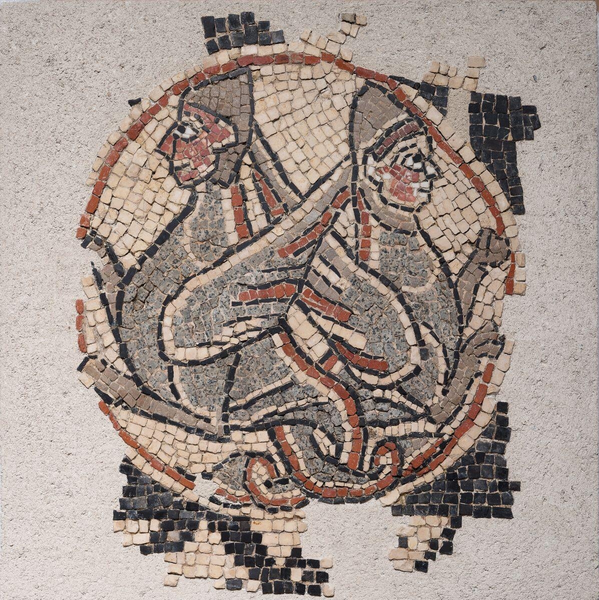 Deux chimères enlacées