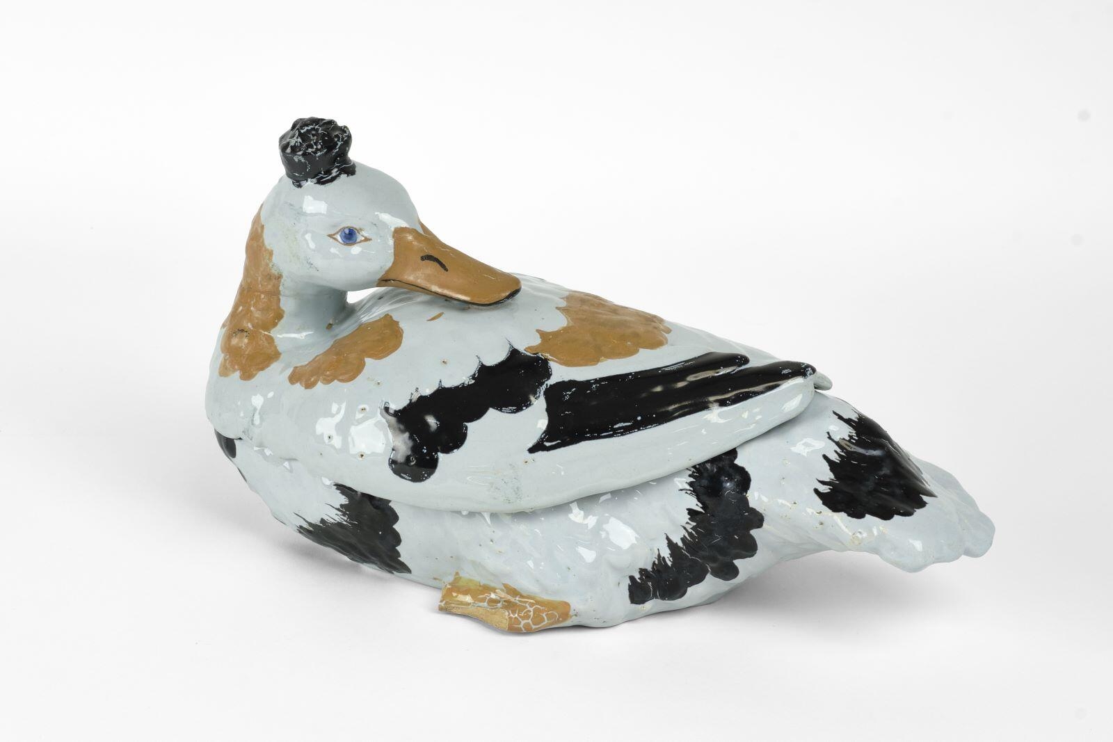 Canard