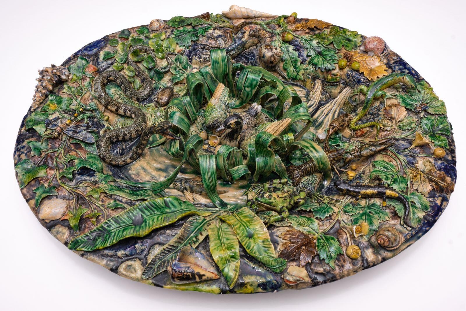 Faune et flore du marais