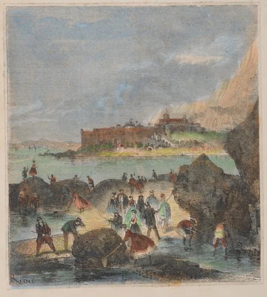 Pêche à la crevette