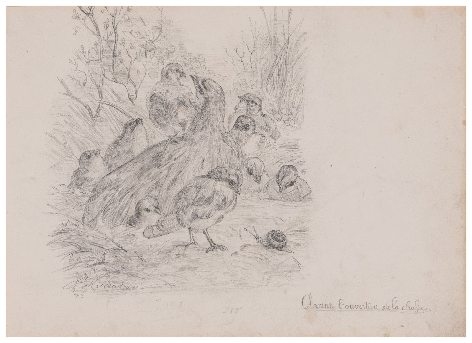 Avant l'ouverture de la chasse