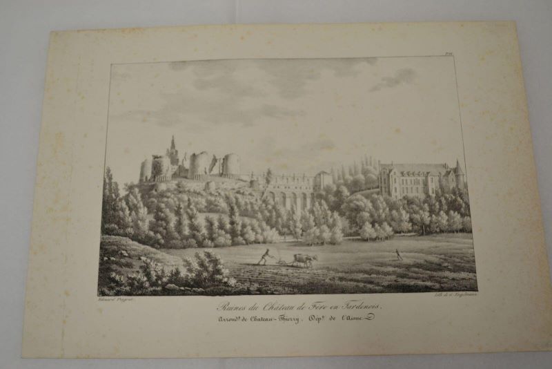 Ruines du château de Fère-en-Tardenois