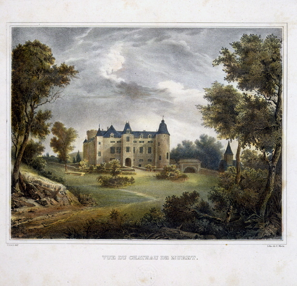 Vue du château de Muret