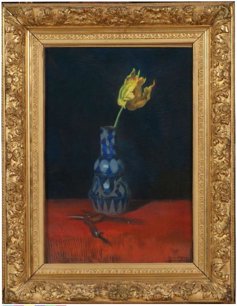 Tulipe