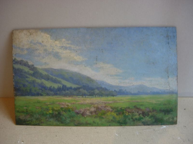 Paysage