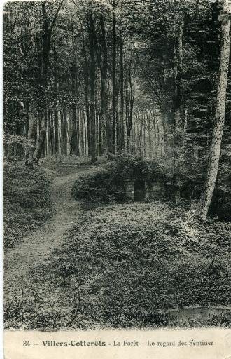 34 - Villers- Cotterêts - La Forêt - Le regard des Sentines