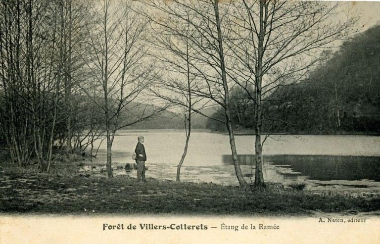 Forêt de Villers-Cotterêts - Etang de la Ramée