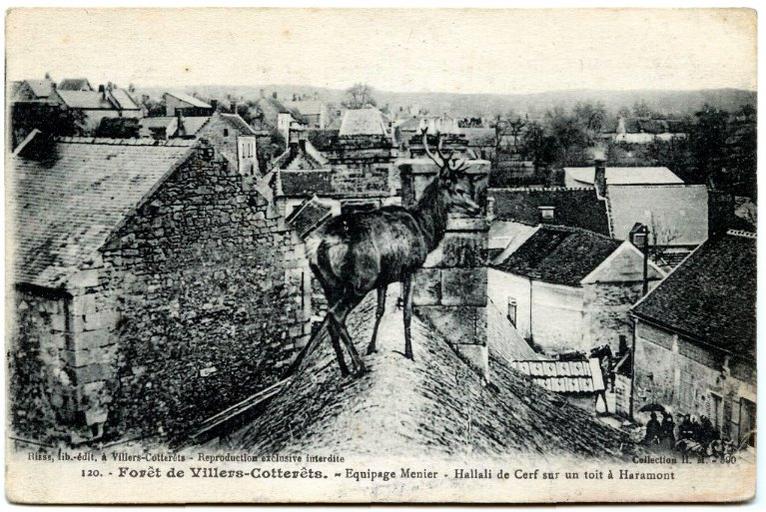 120. Forêt de Villers-Cotterêts. - Equipage Menier - Hallali de Cerf sur un toit à Haramont
