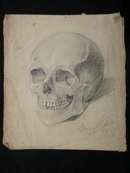 Un crâne