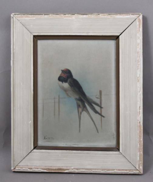 Hirondelle (titre factice)