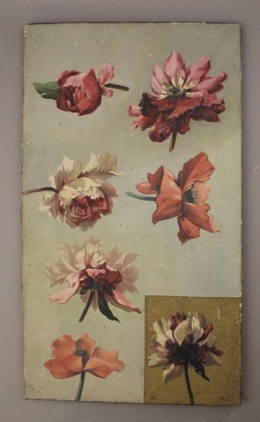 Etude de fleurs (titre factice)