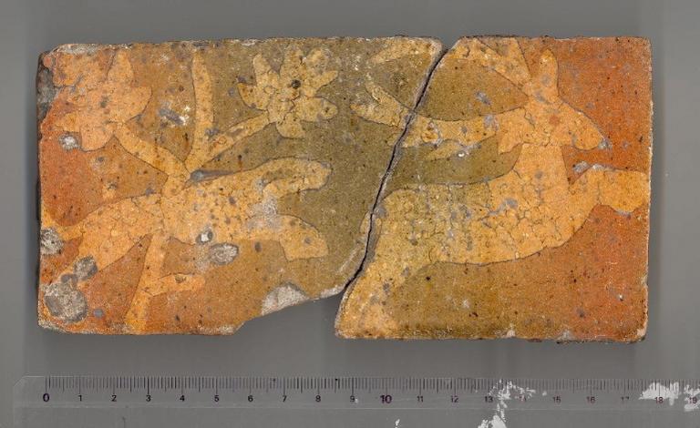 Cerf poursuivit par un chien