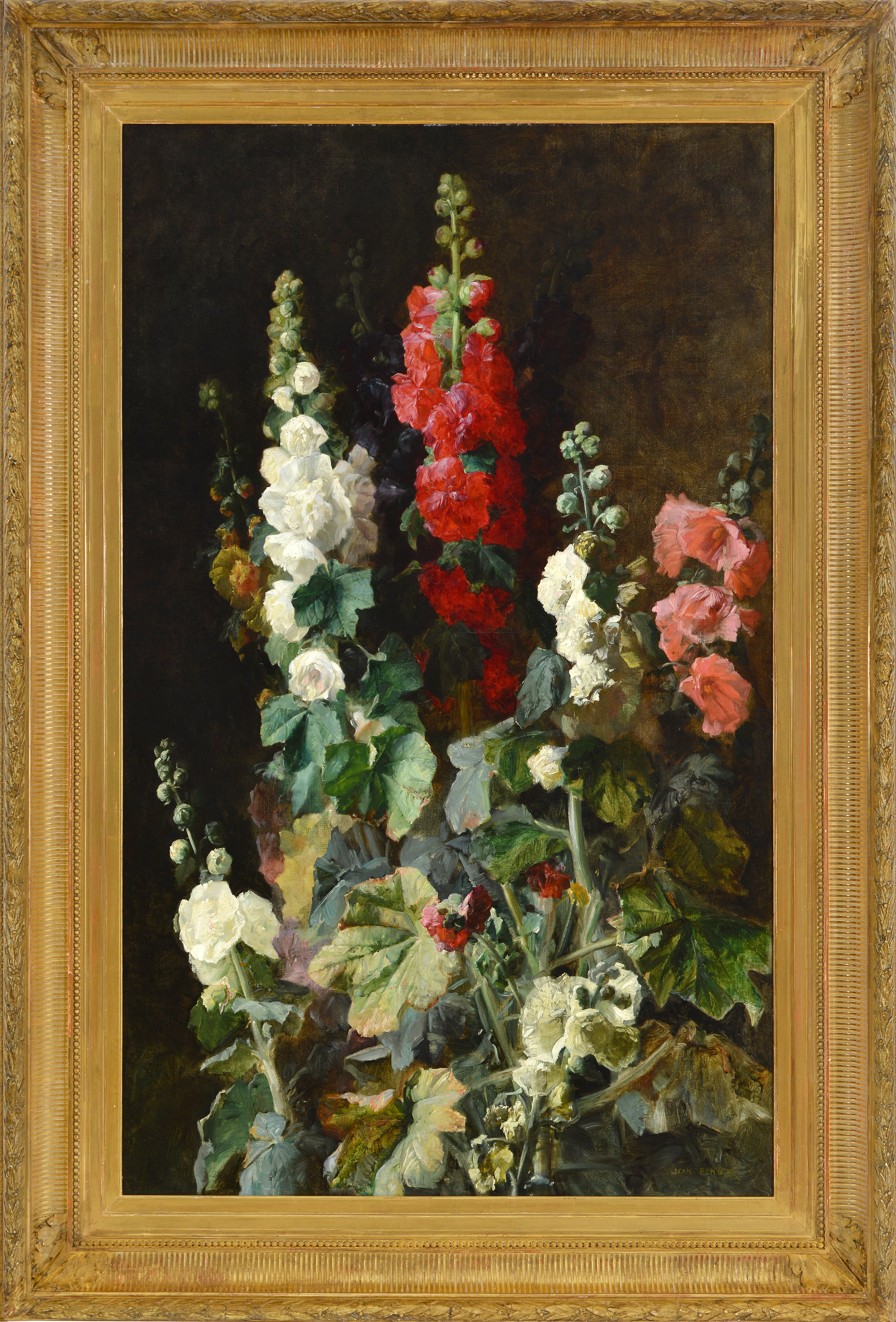 Roses trémières