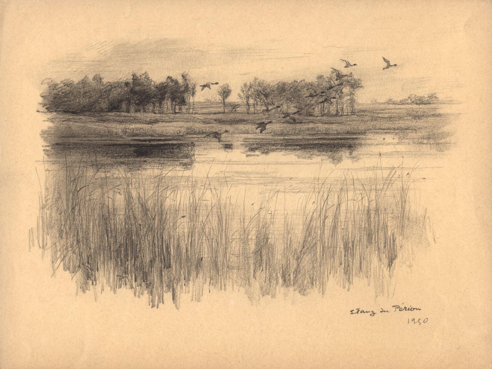 Etang du Périou, près de Chambord
