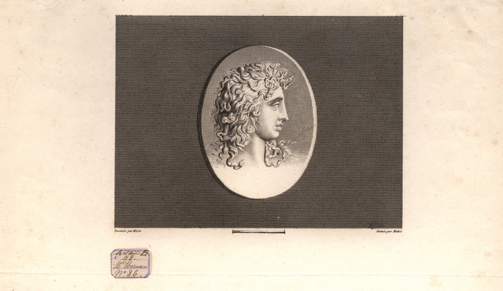 Tête de Méduse de profil (titre ancien)
