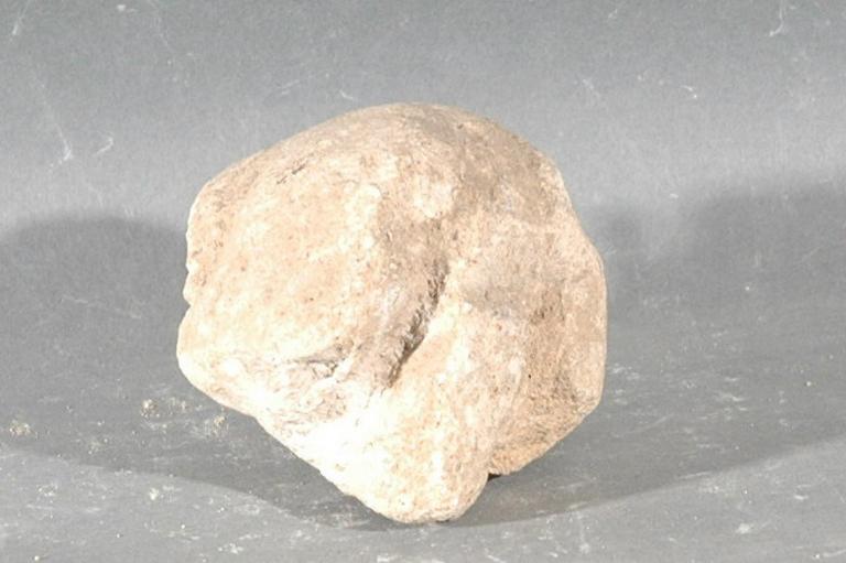 Ex-voto du temple de la forêt d'Halatte, fragment d'arrière train d'un animal