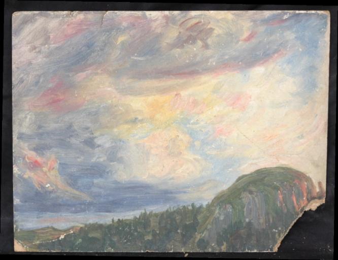 Forêt sous un ciel bleu, rouge et gris