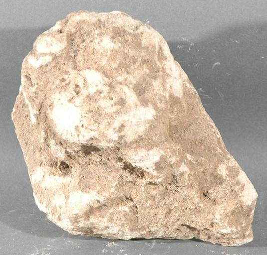 Ex-voto du temple de la forêt d'Halatte, tête