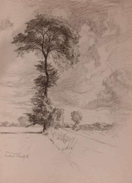 Grand arbre au fond d'un chemin, Courteuil (titre factice)