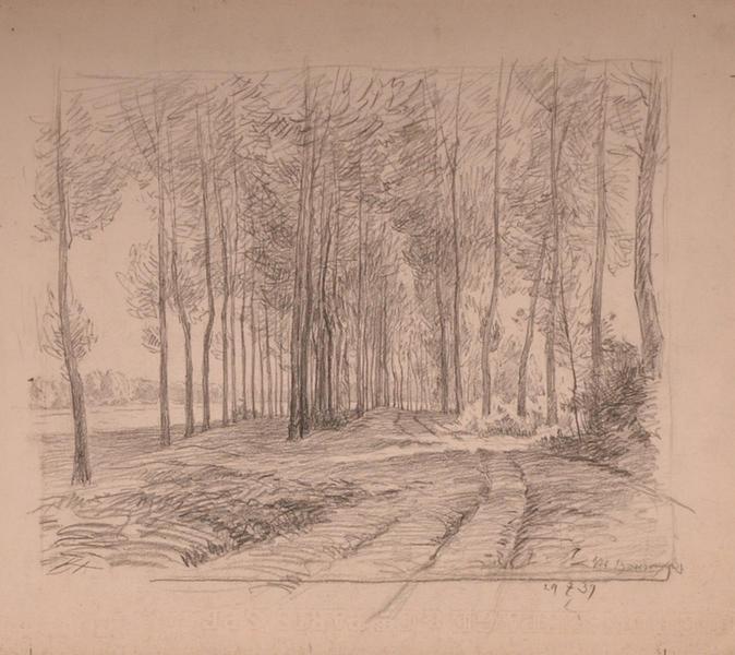 Peupliers près de Courteuil ? (titre factice)