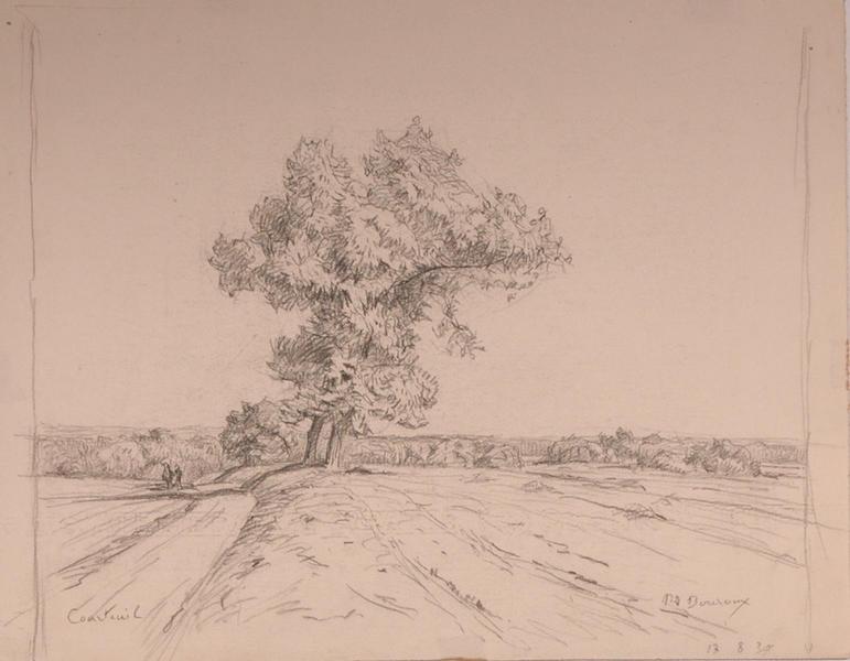 Deux gros arbres près d'un champ à Courteuil (titre factice)