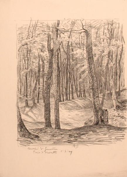 La carrière Sainte-Geneviève, forêt d'Halatte (titre factice)