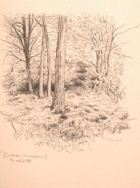 Beaurepaire en forêt d'Halatte (titre factice)