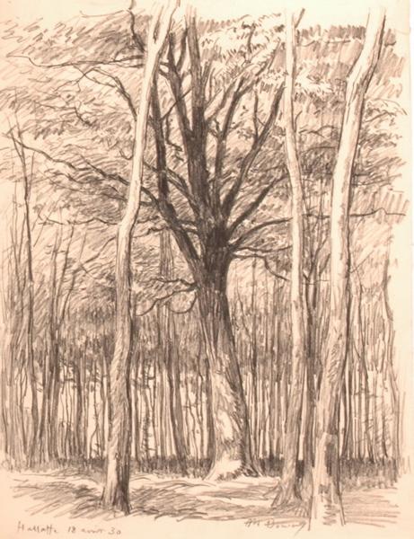 En forêt d'Halatte (titre factice)