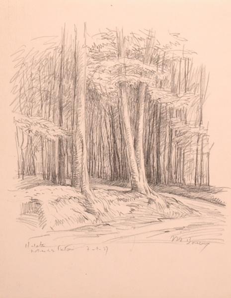 Poteau de la Futaie, forêt d'Halatte (titre factice)