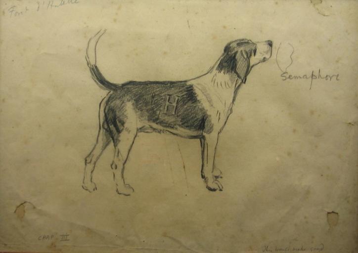 Sémaphore, chien de l'équipage Lyons-Halatte