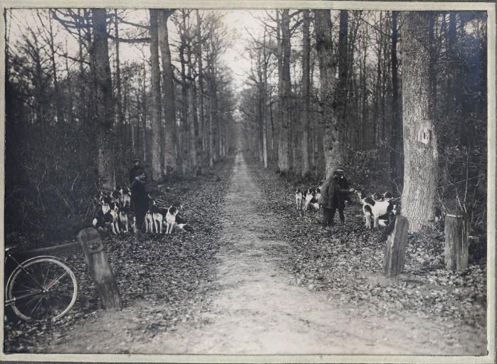 Photographie d'un album en maroquin vert comprenant 24 photographies : Equipage Par Monts et Vallons, le découplé en forêt