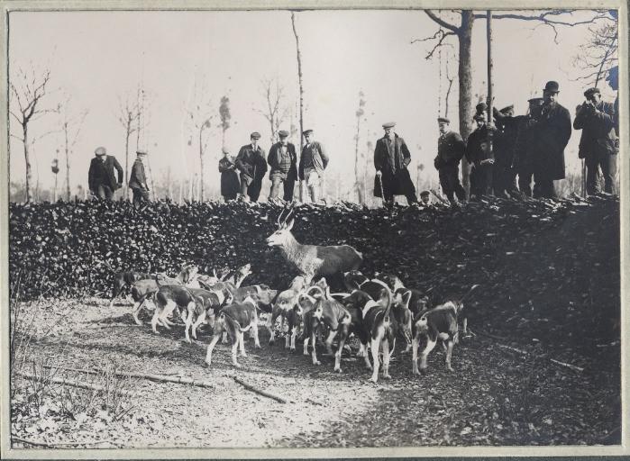 Photographie d'un album en maroquin vert comprenant 24 photographies : Equipage Par Monts et Vallons, hallali en forêt d'Halatte