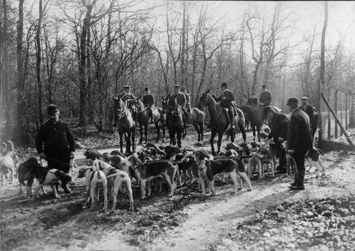 Photographie extraite d'un album de 56 photographies : équipages Chantilly et Par Monts et Vallons en forêt