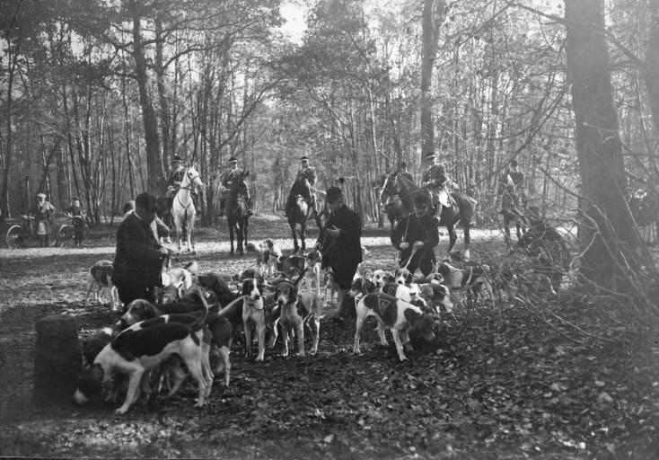 Photographie extraite d'un album de 56 photographies : équipages Chantilly et Par Monts et Vallons en forêt