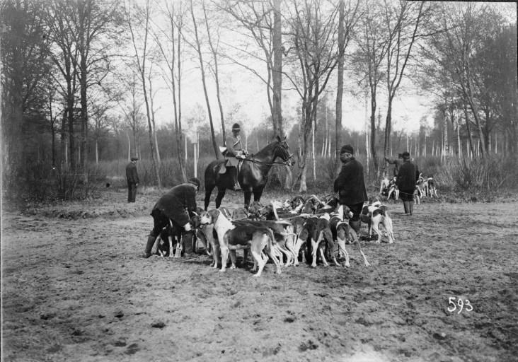 Photographie extraite d'un album de 56 photographies : équipages Chantilly et Par Monts et Vallons en forêt