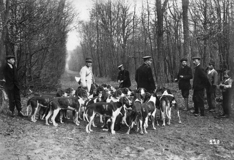 Photographie extraite d'un album de 56 photographies : équipages Chantilly et Par Monts et Vallons en forêt