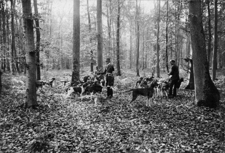 Photographie extraite d'un album de 56 photographies : équipages Chantilly et Par Monts et Vallons en forêt