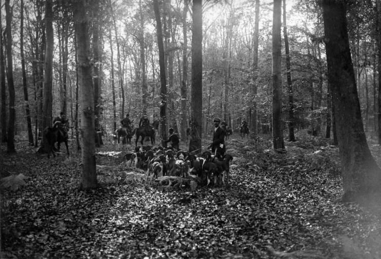 Photographie extraite d'un album de 56 photographies : équipages Chantilly et Par Monts et Vallons en forêt