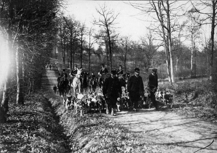 Photographie extraite d'un album de 56 photographies : équipages Chantilly et Par Monts et Vallons