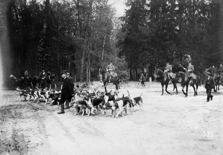 Photographie extraite d'un album de 56 photographies : équipages Chantilly et Par Monts et Vallons