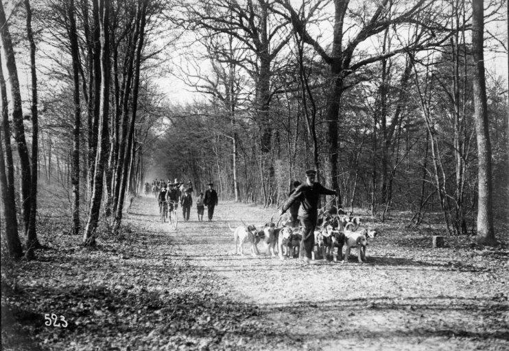 Photographie extraite d'un album de 56 photographies : équipages Chantilly et Par Monts et Vallons