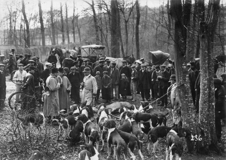 Photographie extraite d'un album de 56 photographies : équipages Chantilly et Par Monts et Vallons. La curée
