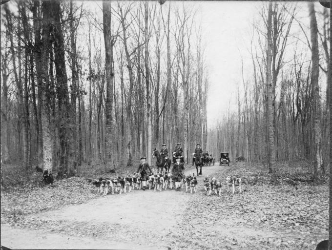 Photographie extraite d'un album de 56 photographies : équipages Chantilly et Par Monts et Vallons