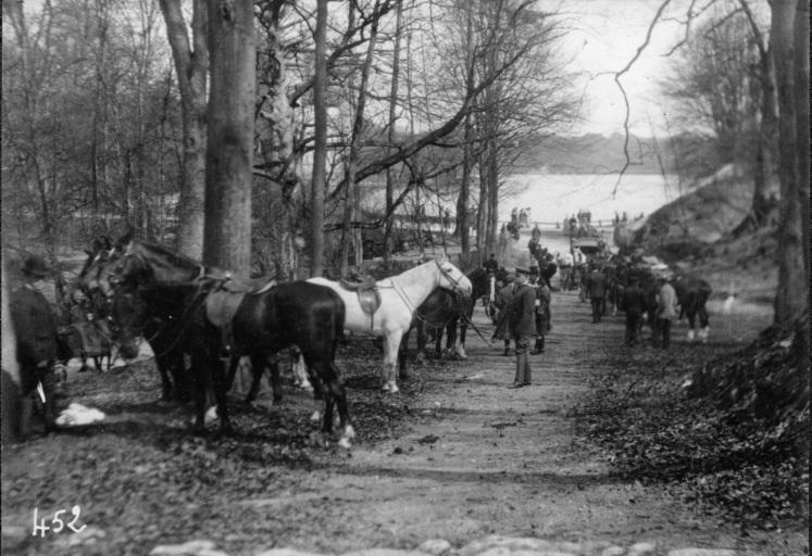 Photographie extraite d'un album de 56 photographies : équipages Chantilly et Par Monts et Vallons