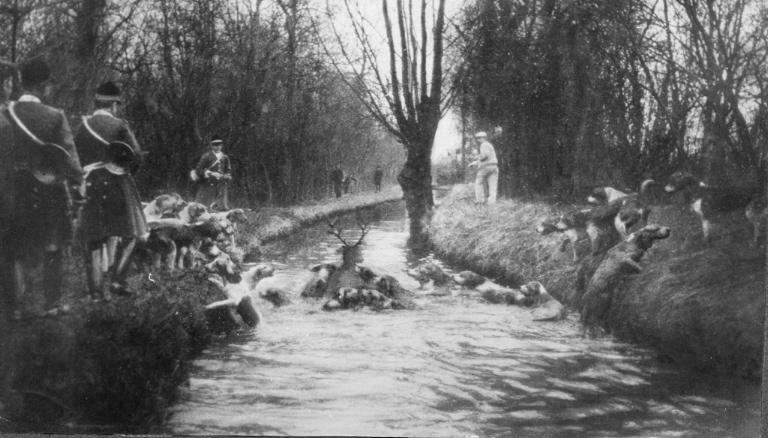 Photographie extraite d'un album de 56 photographies : équipages Chantilly et Par Monts et Vallons. Bat l'eau