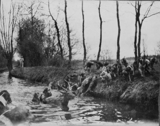 Photographie extraite d'un album de 56 photographies : équipages Chantilly et Par Monts et Vallons. Bat l'eau