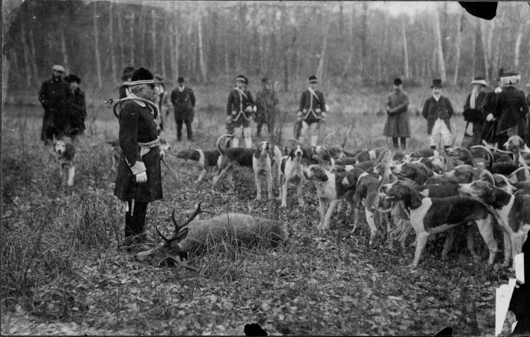 Photographie extraite d'un album de 56 photographies : équipages Chantilly et Par Monts et Vallons. La curée